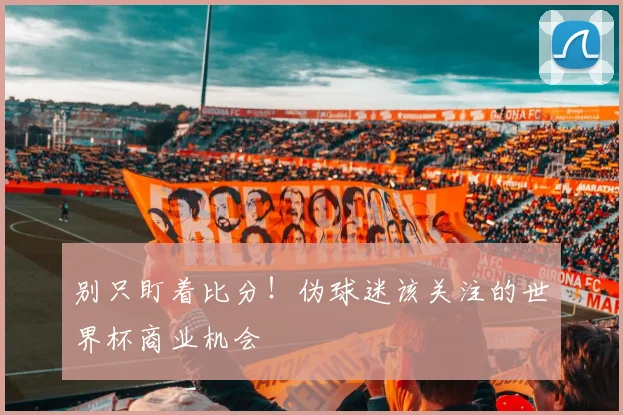 别只盯着比分！伪球迷该关注的世界杯商业机会