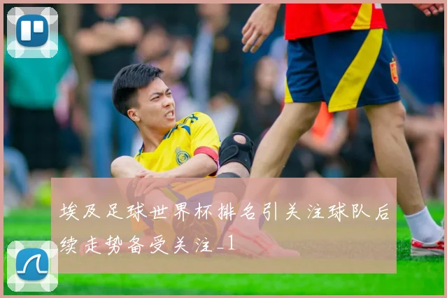 埃及足球世界杯排名引关注球队后续走势备受关注_1