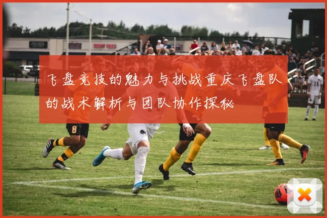 飞盘竞技的魅力与挑战重庆飞盘队的战术解析与团队协作探秘